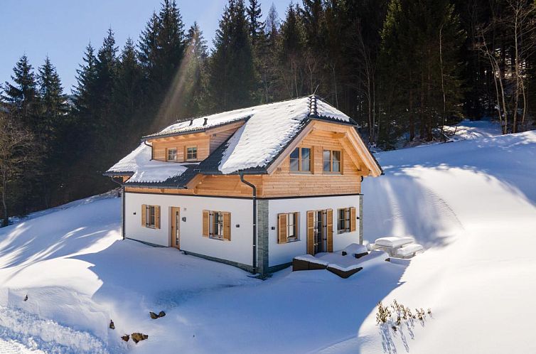 Geniessen Sie die winterliche Pracht im Chalet Wanderlust in Donnersbachwald, Steiermark, in perfekter Lage fuer einen ruhigen Bergurlaub.