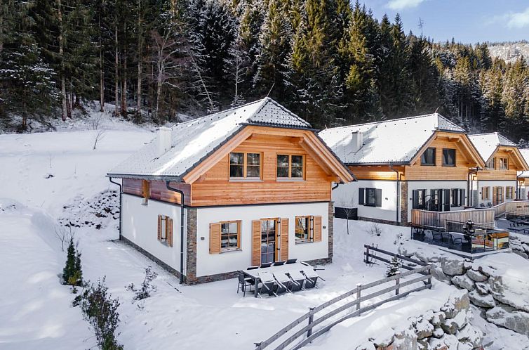 Gezellige Haus am Wald chalet in winterlandschap van Donnersbachwald, Steiermark, omringd door natuur.
