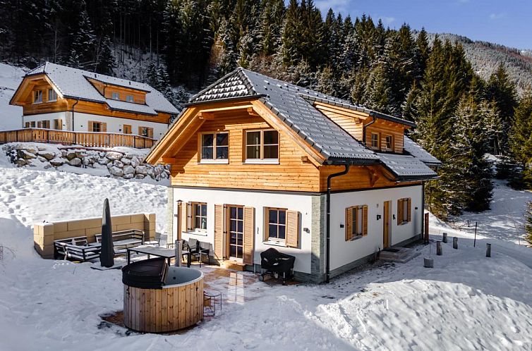 Gemuetliches Ferienhaus Haus Liene in der winterlichen Natur von Donnersbachwald, Steiermark.