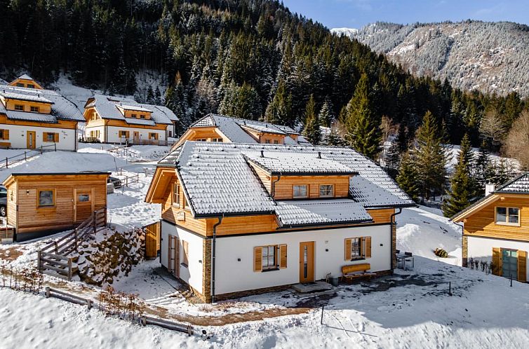 Chalet Haus Hestia in Donnersbachwald, Steiermark, umgeben von einer winterlichen Berglandschaft.