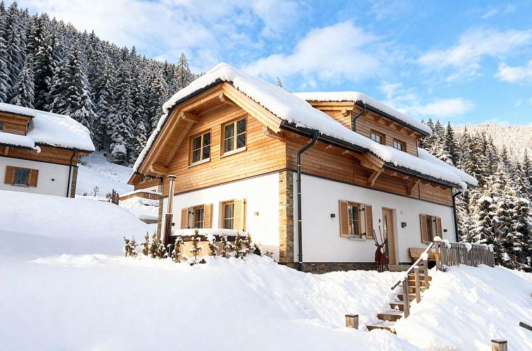 Winterse charme van Riesner Alpenlodge in Donnersbachwald, Oostenrijk, omgeven door majestueuze bergen.