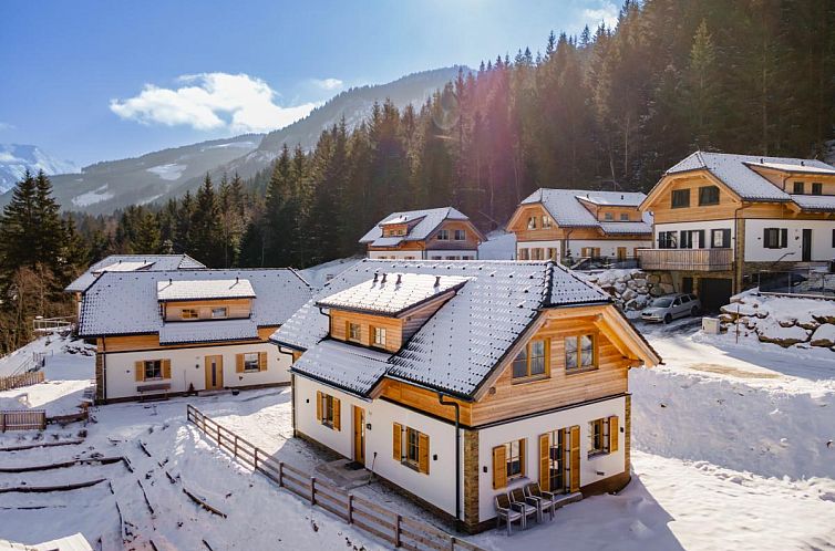 Sfeervol verblijf Haus Rapunzel in de winterse omgeving van Donnersbachwald, Steiermark, te midden van bergen.