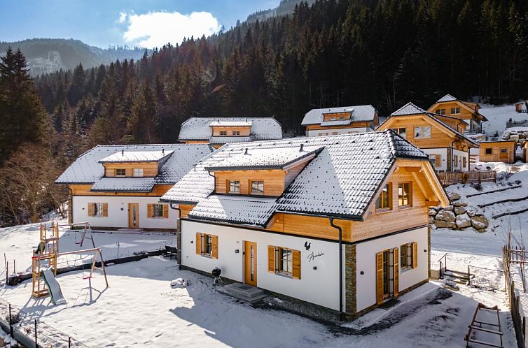 Gemuetliches Auerhahn-Ferienhaus in Donnersbachwald, Steiermark, eingebettet in eine winterliche Bergwelt.