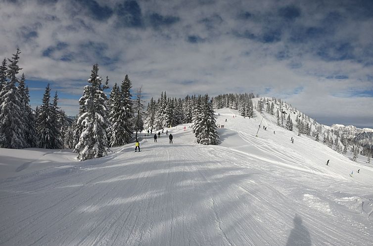 Vakantiehuis Bergchalet