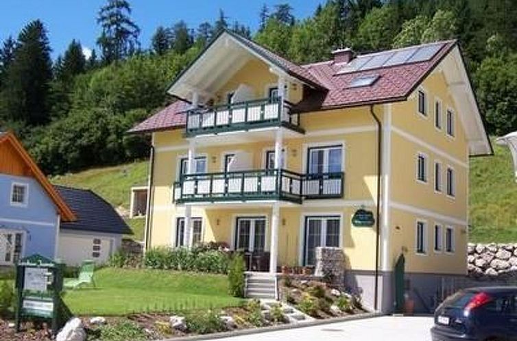 Unterkunft 1154404 - Appartement Steiermark - Appartement Zinkenblick in Bad Mitterndorf
