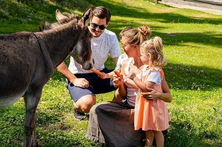 Vakantiehuis Premium Waldjuwel