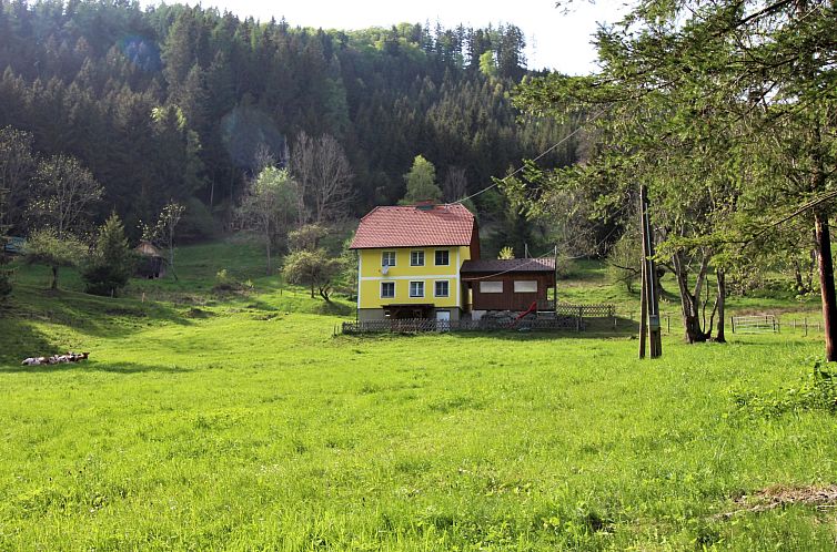 Unterkunft 1155301 - Ferienhaus Steiermark - Vakantiehuis Krechen Alm