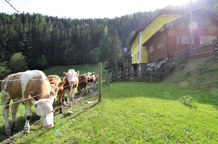 Vakantiehuis Krechen Alm