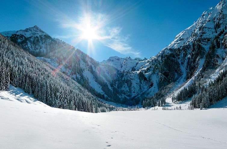 Appartement Superior mit Sauna & Außenbadewanne