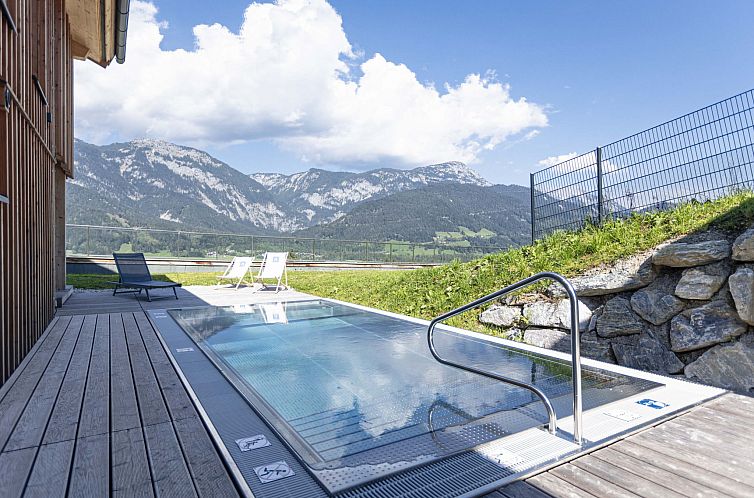 Unterkunft 1155609 - Ferienhaus Steiermark - Vakantiehuis Premium mit 4 Schlafzimmern,Sauna&Pool