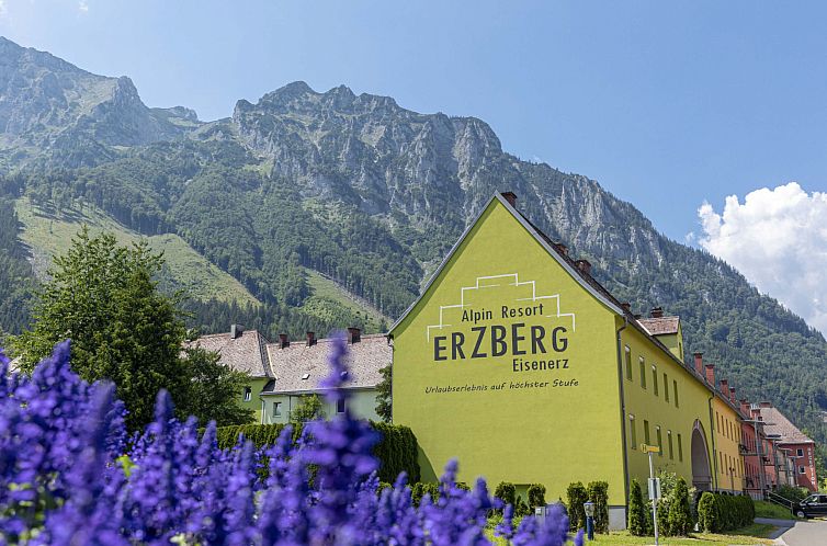 Unterkunft 1156122 - Appartement Steiermark - Appartement Superior mit IR-Sauna