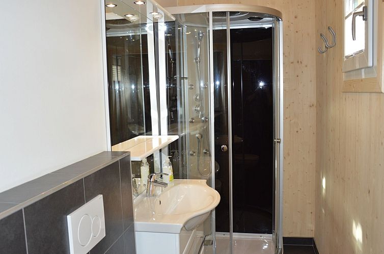 Vakantiehuis mit 4 SZ,Sauna o.IR-Sauna+Sprudelbad