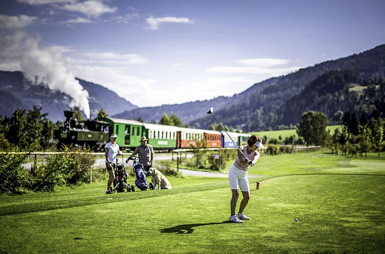 Vakantiehuis mit 4 SZ,Sauna o.IR-Sauna+Sprudelbad