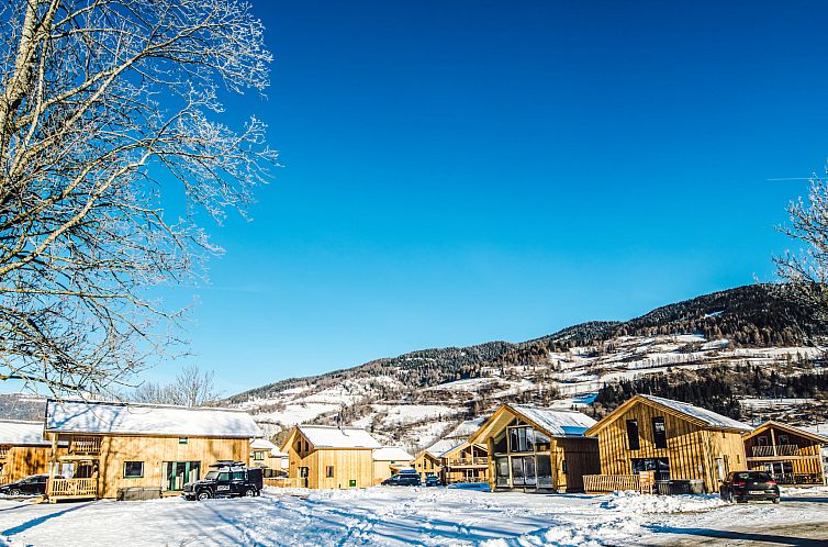 Vakantiehuis mit 4 SZ,Sauna o.IR-Sauna+Sprudelbad