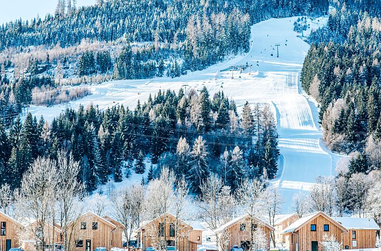 Vakantiehuis mit 4 SZ,Sauna o.IR-Sauna+Sprudelbad