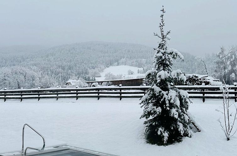 Vakantiehuis Panorama # 8 mit Sauna & Pool