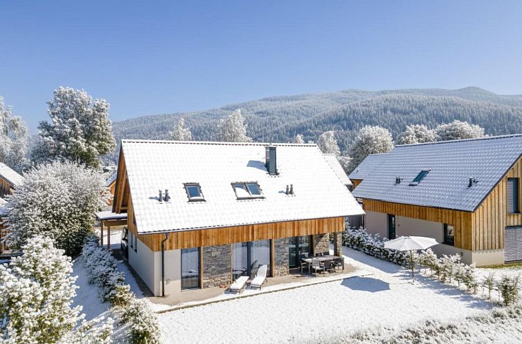 Mountain Chalet Alpinchique