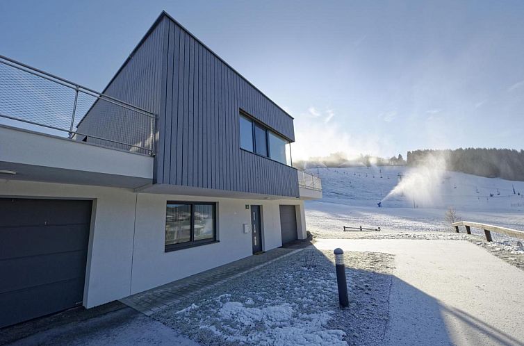 Modernes Winzer-Chalet in Sankt Lambrecht, Steiermark, umgeben von winterlicher Natur und ruhiger Aussicht.