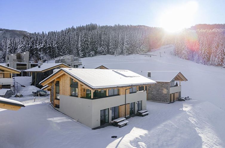 Ferienhaus Grebenzen Lodge Hirsch in Sankt Lambrecht, Oesterreich, umgeben von Schnee und Waeldern, perfekt fuer einen Winterurlaub.