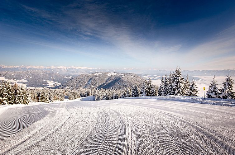Vakantiehuis für 8 Personen mit IR-Sauna