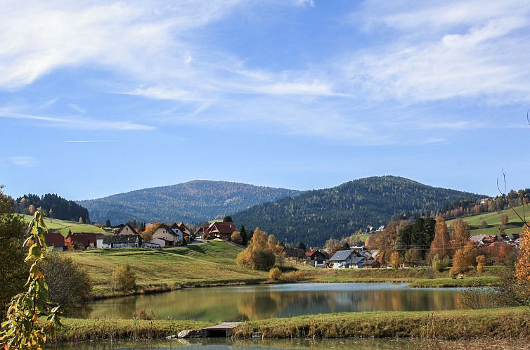 Vakantiehuis für 8 Personen mit IR-Sauna