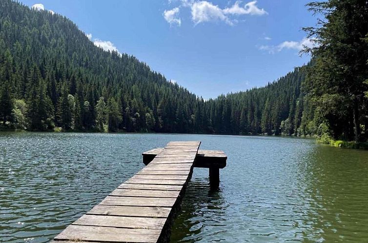 Grebenzen lodge Alpenklang 64A