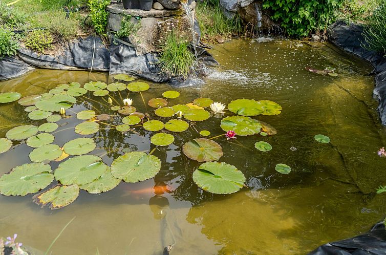 Vakantiehuis Casa Ananda Ferienhaus