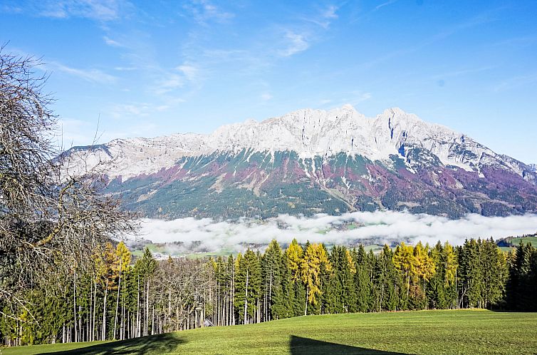 Appartement Ferienwohnung Gartenblick