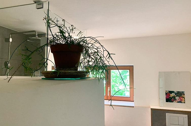 Appartement Idyllisch am Waldrand gelegene Ferienwohnung