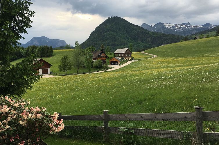 Appartement Nette Wohnung in Bad Aussee mit Garten und Grill