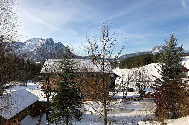 Appartement Nette Wohnung in Bad Aussee mit Garten und Grill