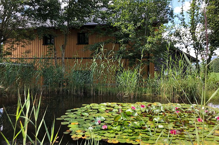 Appartement Charmante Ferienwohnung in Bad Aussee mit Grill 