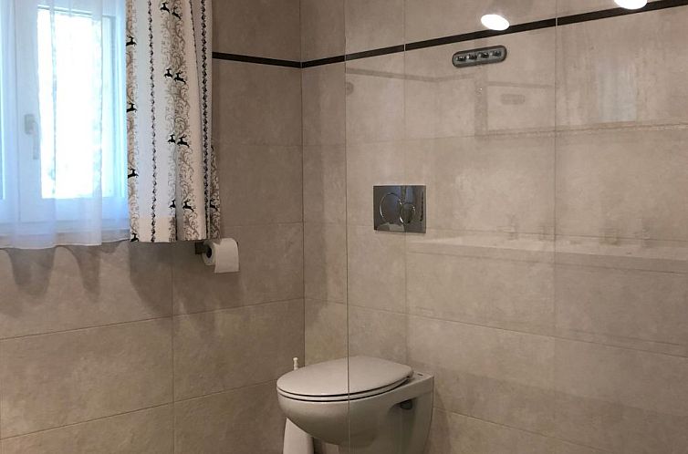 Appartement Charmante Ferienwohnung in Bad Aussee mit Grill 