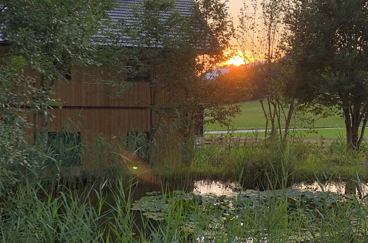 Appartement Tolle Wohnung in Bad Aussee mit Garten und Grill