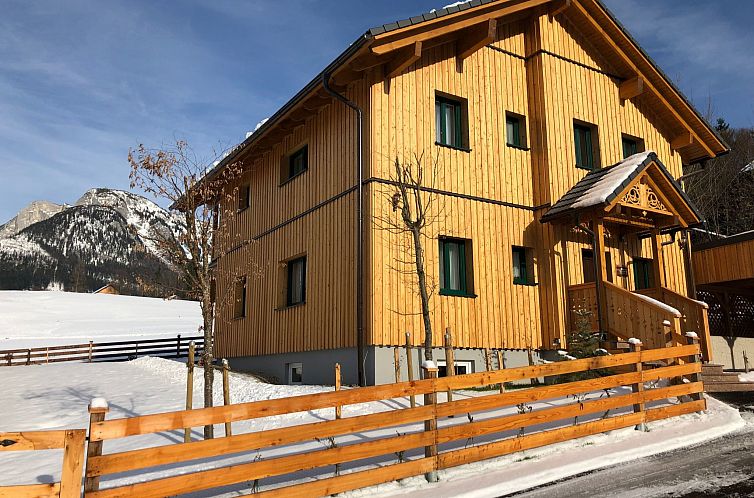 Appartement Tolle Wohnung in Bad Aussee mit Garten und Grill