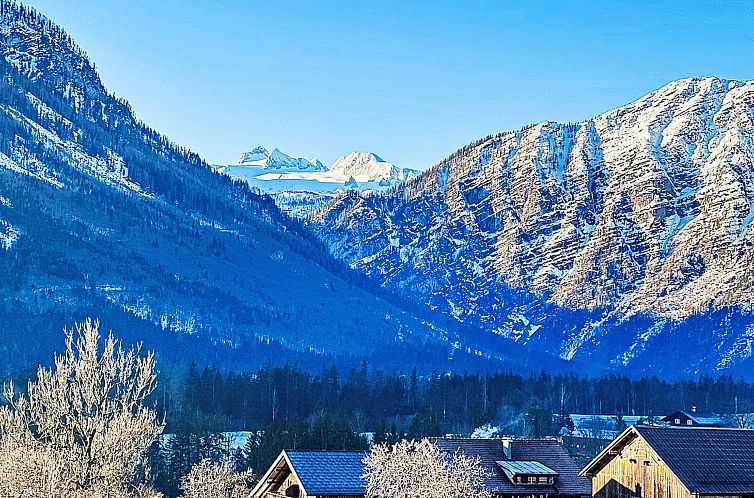 Appartement Alpenzeit