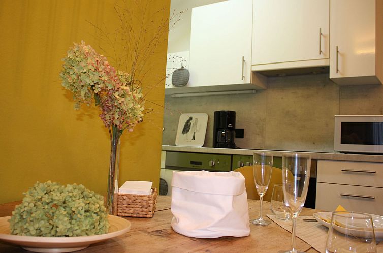 Appartement Gemütliche Wohnung in Geidorf mit Garten, Graze