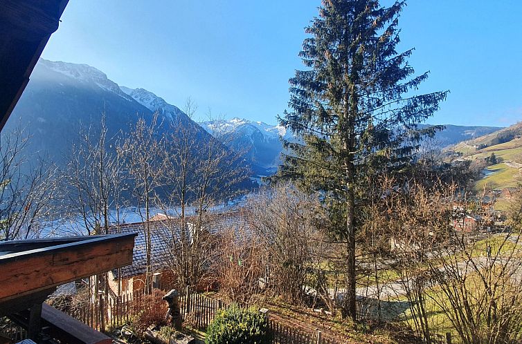 Vakantiehuis Chalet Waldegg