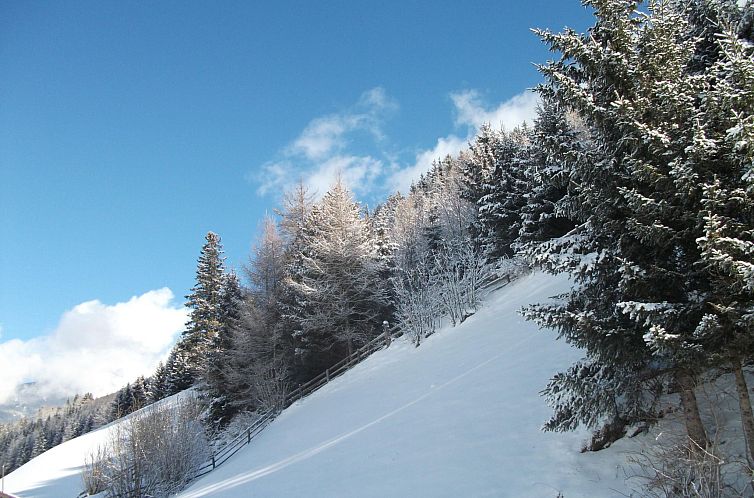 Appartement Ferienhaus Gassner in Navis