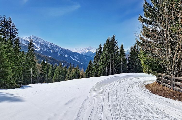 Appartement Naviser Hütte