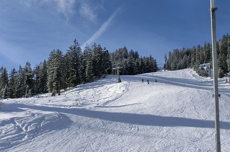Vakantiehuis Alpenhof Sonne