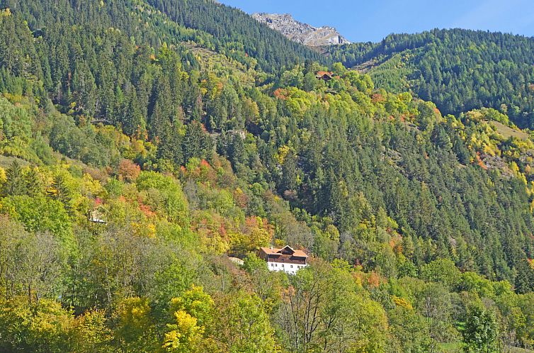 Appartement David am Buchhammerhof