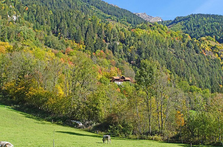 Appartement Josefa am Buchhammerhof