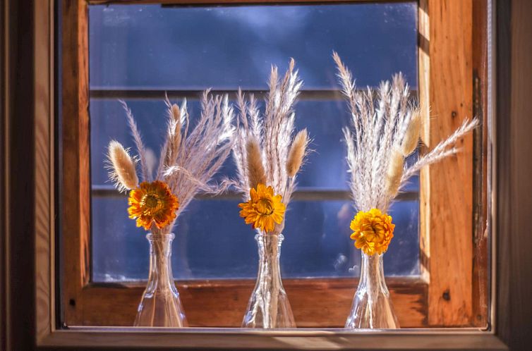 Appartement Josefa am Buchhammerhof