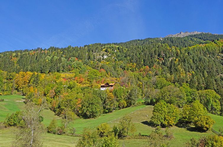 Appartement Peppi am Buchhammerhof