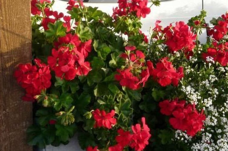 Appartement Haus Schönberg