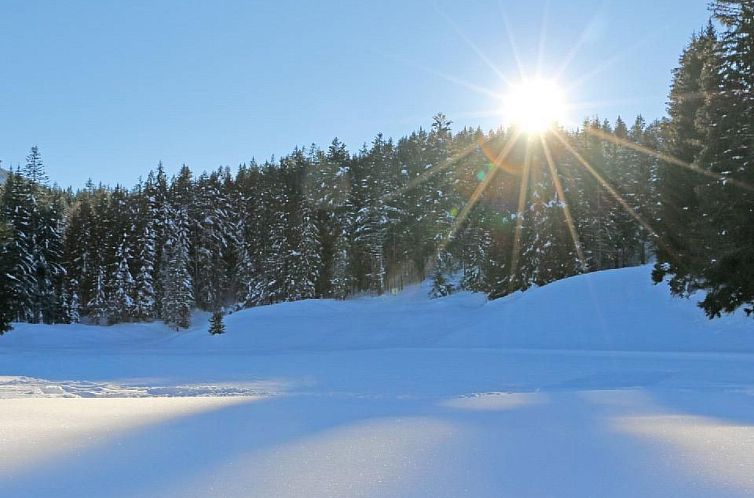 Vakantiehuis Chalet Märchenblick