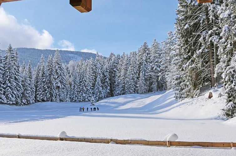 Vakantiehuis Chalet Märchenblick