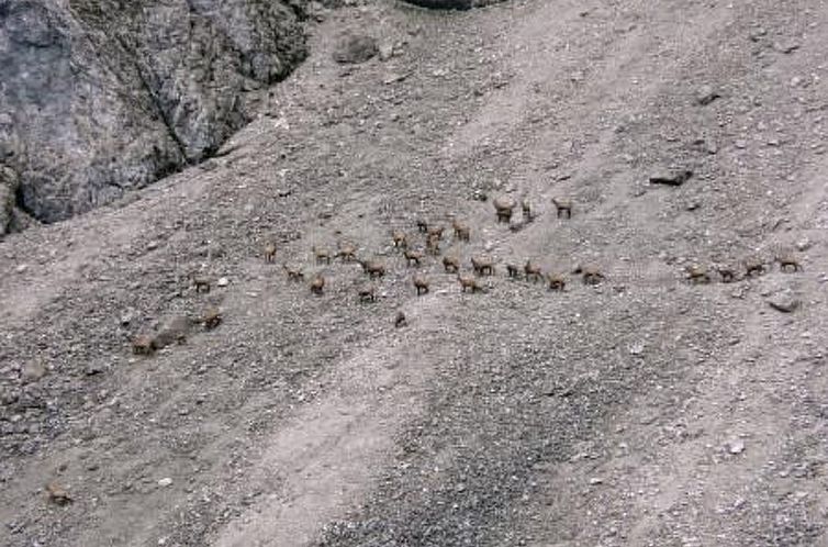 Appartement Haus Schönberg