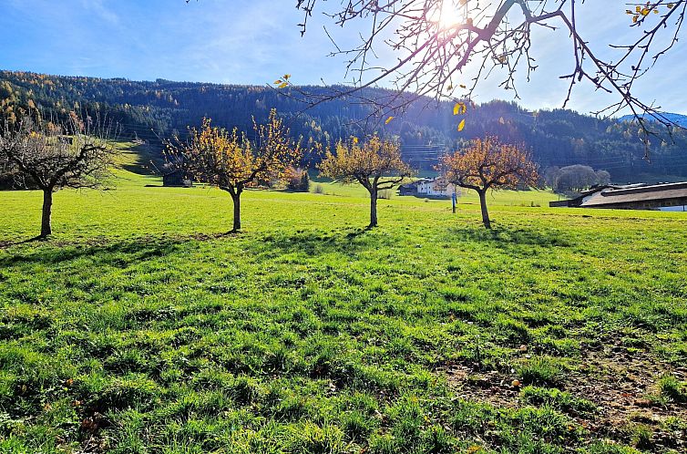 Appartement Wildschütz